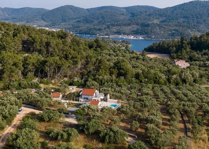 Barbara - Olive Paradise, With Chlorine-free Pool