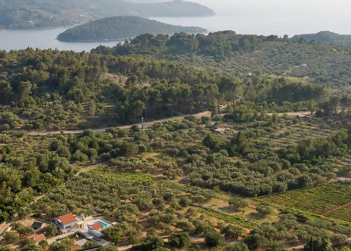 Barbara - Olive Paradise, With Chlorine-free Pool *